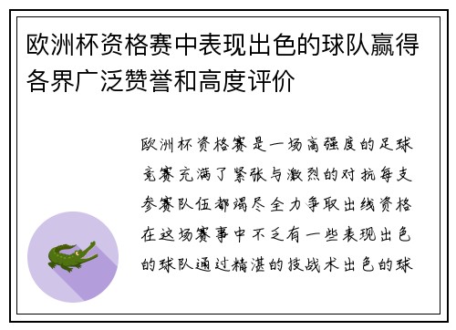 欧洲杯资格赛中表现出色的球队赢得各界广泛赞誉和高度评价