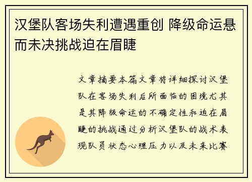 汉堡队客场失利遭遇重创 降级命运悬而未决挑战迫在眉睫